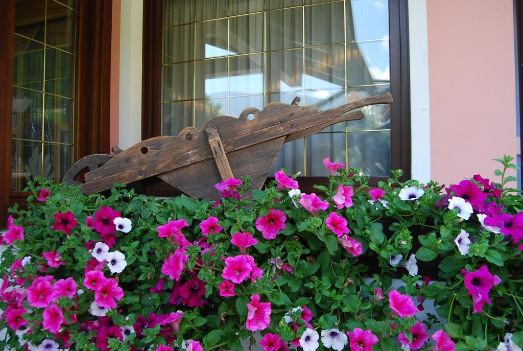 Hotel Quadrifoglio Pinzolo Ngoại thất bức ảnh
